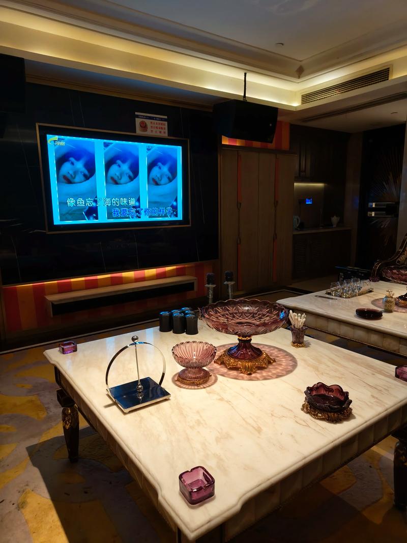 赣州商务ktv总排行推荐精选-定南县ktv预定